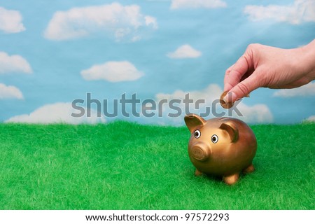 Gold Coin Grass