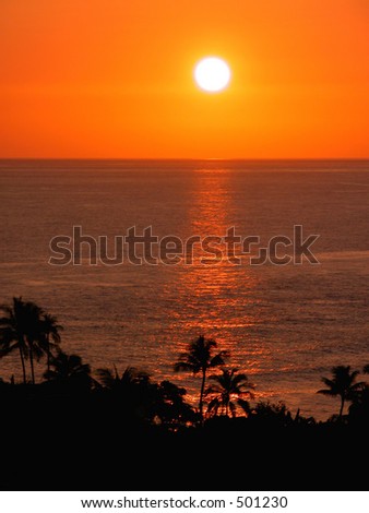 The sun sets over the Pacific Ocean, silhouetting palm trees in Hawaii.