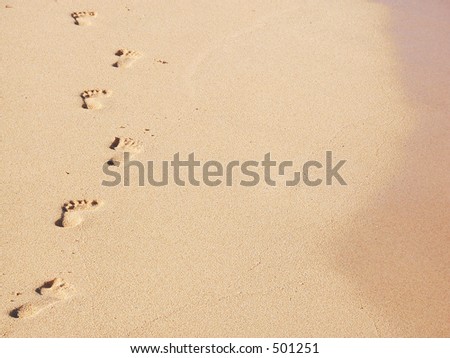 A trail of footprints along the water\'s edge.