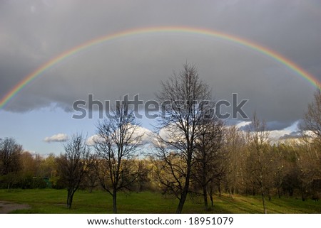 The cloudy sky and autumn rainbow above forest.