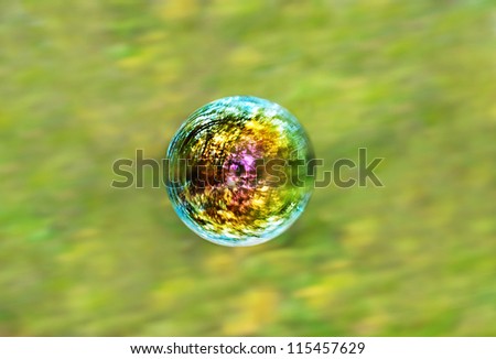 iridescent soap bubble on green forest background