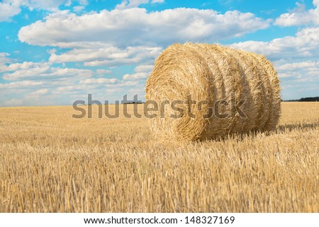 panorama of harvested field with straw bales in summer bright day with blue sky