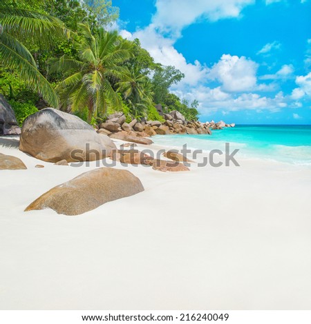 Tropical beach Anse Georgette at island Praslin, Seychelles - vacation background