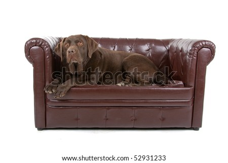 a chesterfield