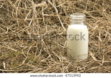 Bottle with milk on haystack