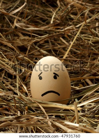 Sad smiley egg in nest