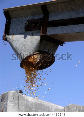 Grain drops into a wagon from a farm elevator. Farm elevators are used to transfer grain from bins and piles to waiting wagons for hauling.