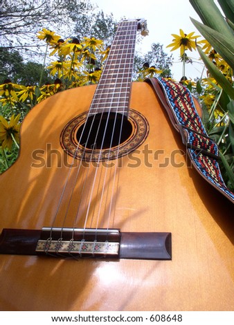 Guitar in a flower garden