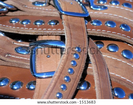Studs on harness leather reflect clear blue western sky