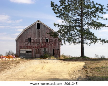 Lonely old barn