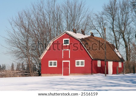 Bright red  barn in winter