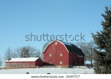 Red barn sits amid pure white show and nestled against pine trees
