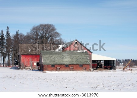 Red barn and hog house were common features of farms in the early part of the 20th century