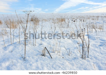 winter land scape