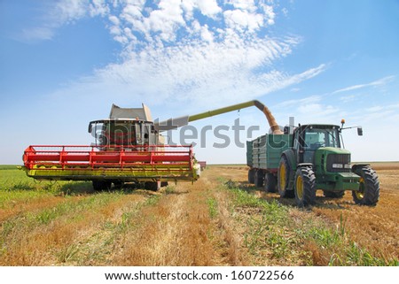 Combine transferring freshly harvested wheat into tractor-trailer