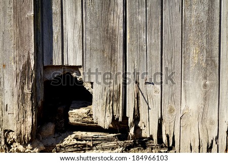 Rotten wood background