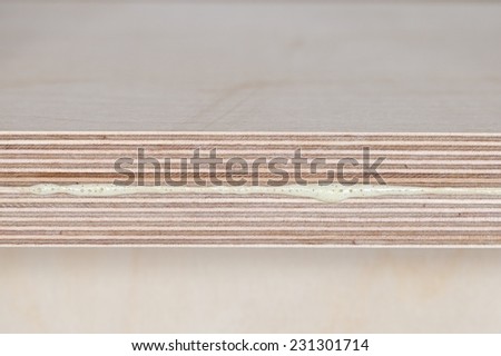 putting glue on a piece of plywood. closeup of two wood sticks with white glue