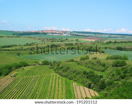 Vineyard landscape with town Velke Pavlovice on horizon, South Moravia, Czech republic.