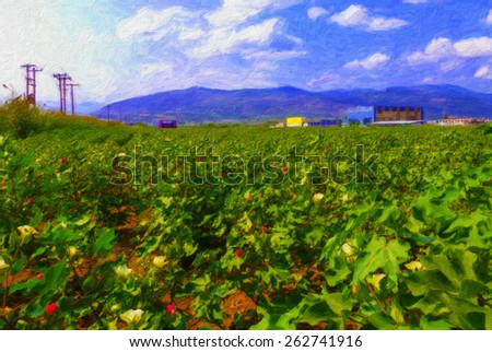 illustration of the a field of cotton plants with unripe bolls and flower with leaf. art oil paint. (When you see 100% 100 has bold lines with brush).