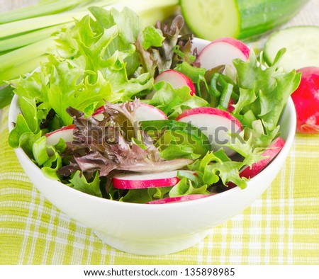 Fresh salad with lettuce, cucumber  and radish