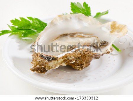 Fresh opened oysters on a white plate. Selective focus