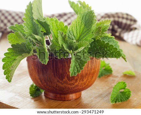 Bunch of Fresh mint leaves on a old  wooden table. Selective focus