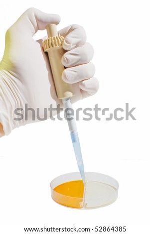 Hand with latex examination glove holding a pipette and making sample analysis with petri dish isolated on white background medical and cancer research concpet