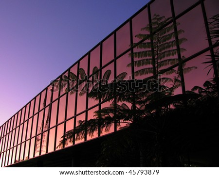 Modern office block with palm silhouette in early morning sky