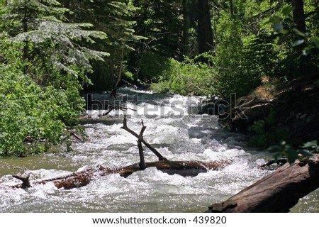 Natural Mountain Spring Water at Yosemite