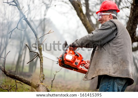 professional worker using a chainsaw to cut fire wood in forest while wearing special protection gear
