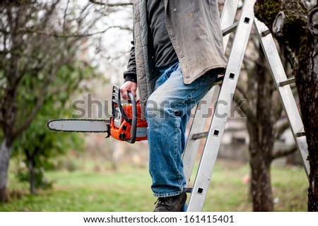 man cutting wood from trees climbing a ladder and using a chainsaw