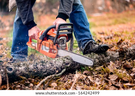 Adult man cutting trees with chainsaw and tools