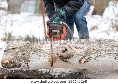 Man cutting trees and fire wood during winter in garden