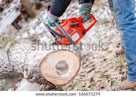 Agricultural activities - Man cutting trees with professional chainsaw in the garden during winter