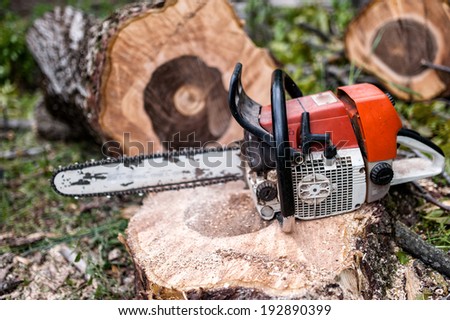 chainsaw on pile of cut wood and timber, lumberjack and sawdust