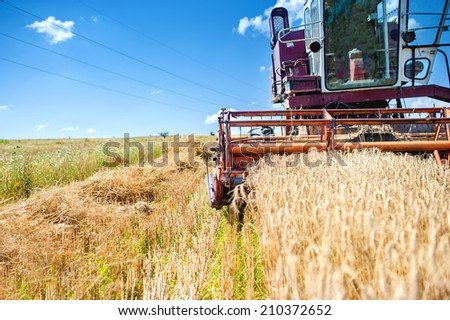 industrial vintage harvesting machinery in wheat crops. Rural agriculture and farming with vintage machines