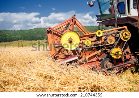 process of harvesting with combine, gathering mature grain crops from field.
