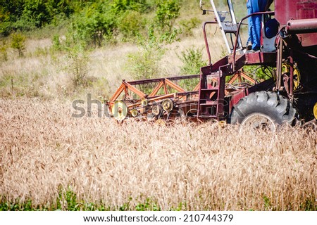 industrial harvesting combine harvesting crops of wheat and grain
