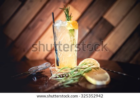 gin and tonic cocktail, alcoholic drink for hot summer days. Refreshment cocktail with rosemary, ice and lime.
