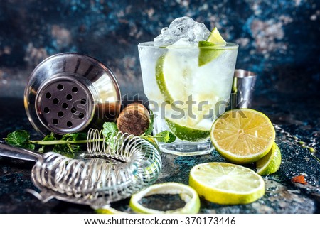 Gin tonic alcoholic cocktail with ice and mint. Cocktail drinks served at restaurant, pub or bar