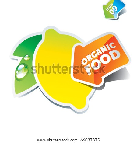 Organic Food Icon