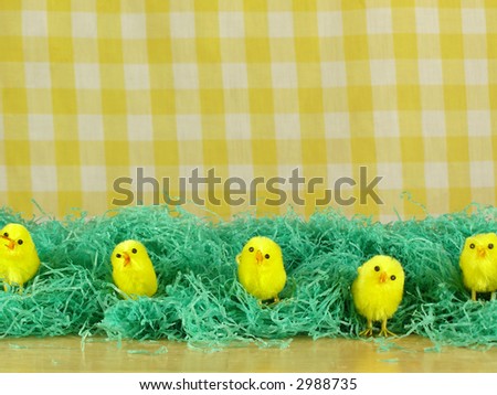baby chicks easter. aby chicks in an Easter