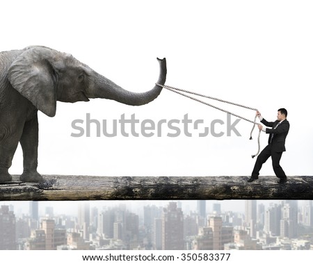 Businessman pulling rope against a big elephant balancing on tree trunk, with cityscape background.
