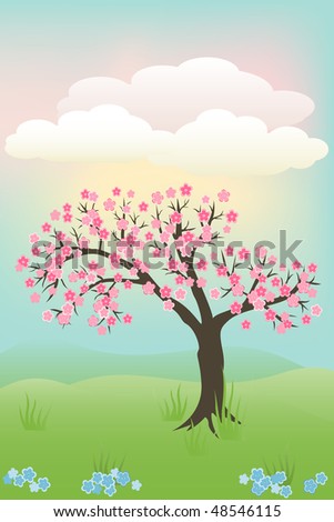 japanese cherry tree pictures. stock vector : Japanese cherry