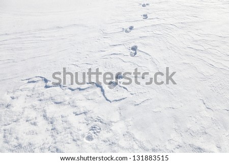 Approaching man\'s footprints in the snowdrift