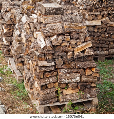 Stacks of fire wood laying on palettes