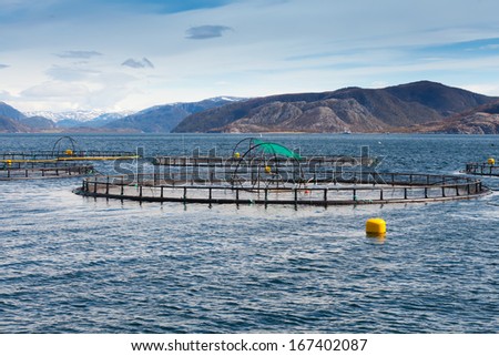 Norwegian fish farm for salmon growing in open sea water