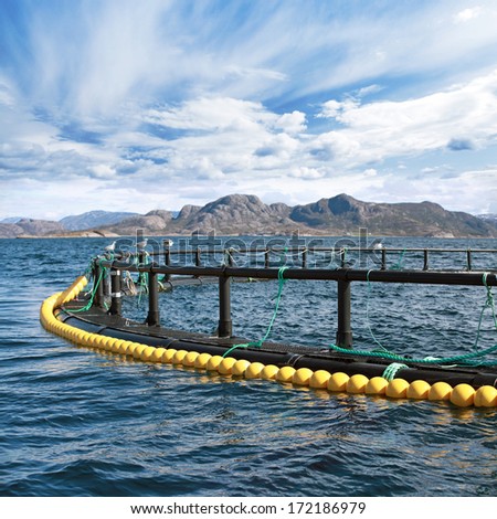 Round fish farm cage in Norwegian Sea Round fish farm cage in Norwegian Sea
