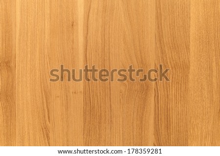 Uncolored beech wooden board pattern. Background photo texture