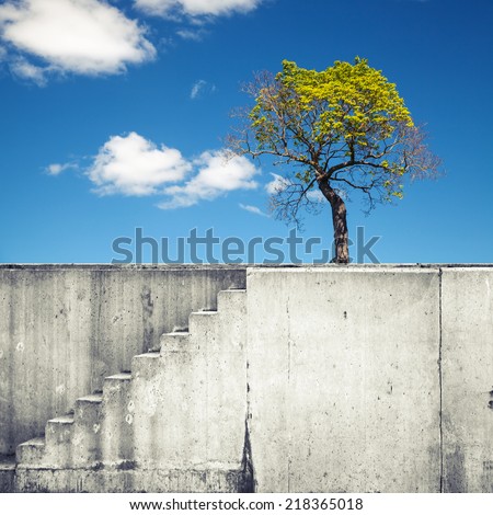 White concrete wall with stairway and small tree above blue sky